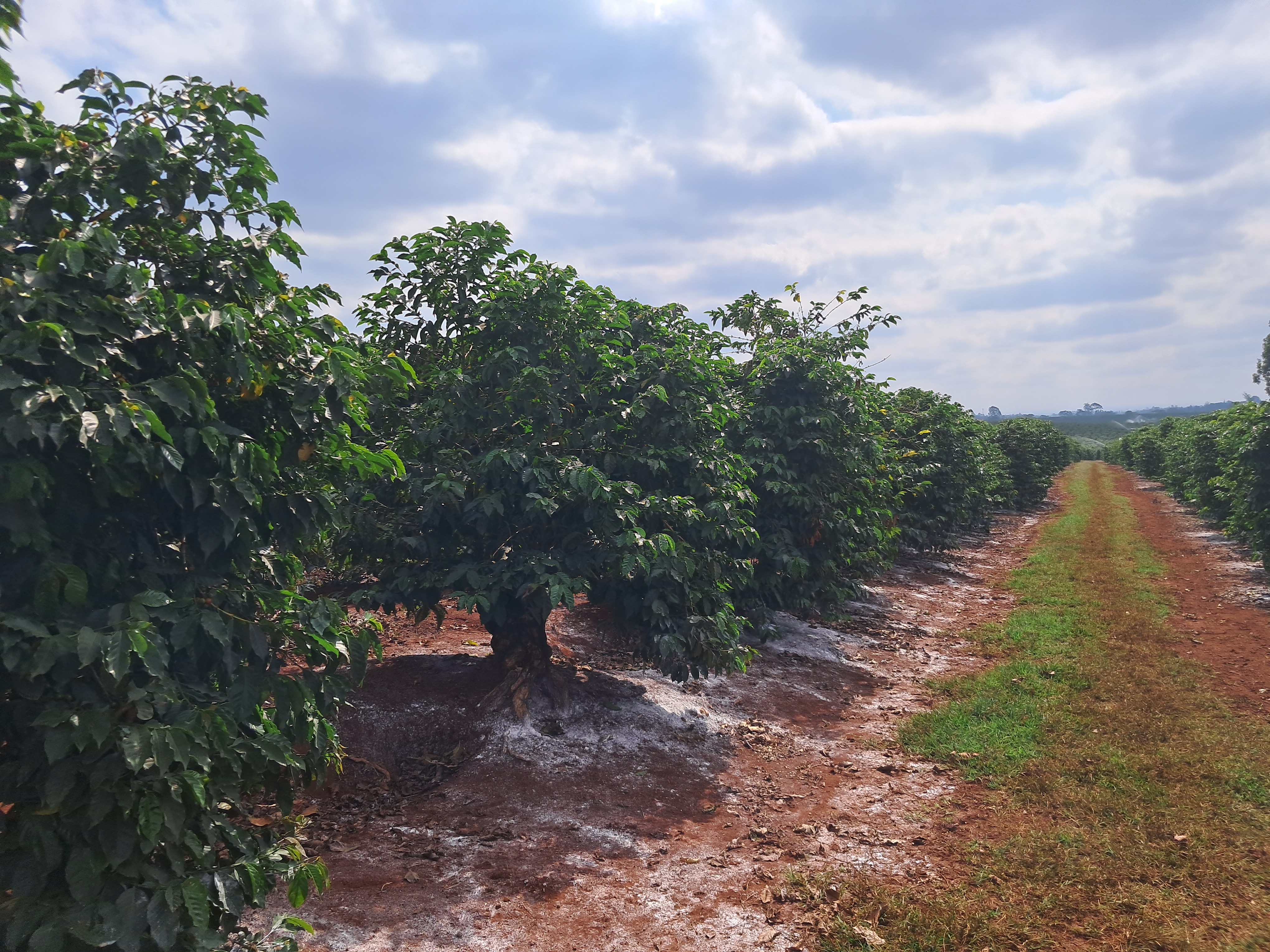 Description of image